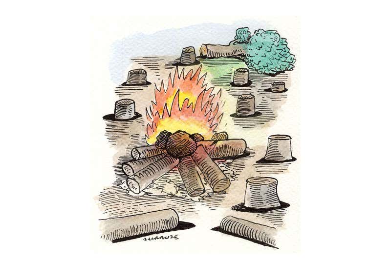 New Scientist. Science news and long reads from expert journalists, covering developments in science, technology, health and the environment on the website and the magazine.