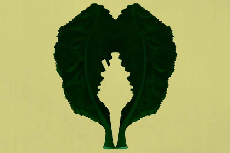 Craving control: how food messes with your mind