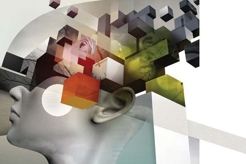 What does a memory in my brain look like?