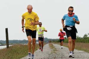 Ultra-marathon runners' brains shrank while racing across Europe