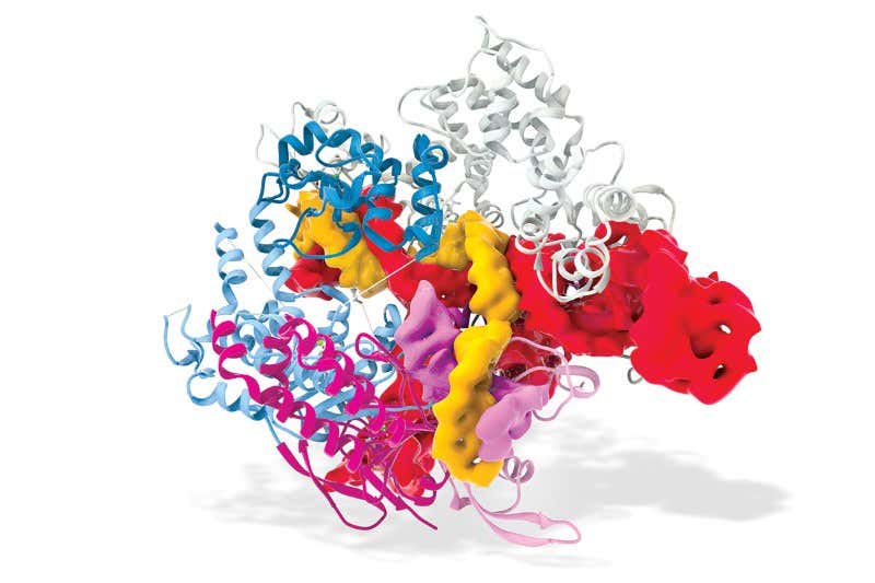 Why banning CRISPR gene editing would be unnecessarily cautious