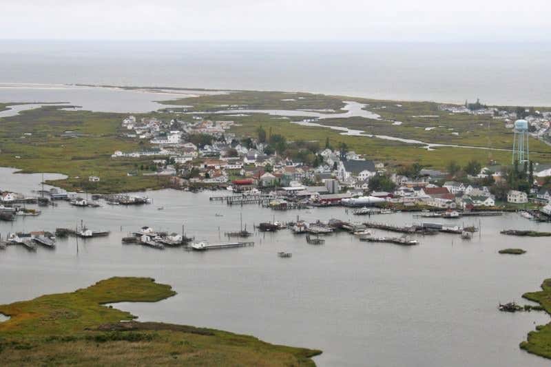 New Scientist. Science news and long reads from expert journalists, covering developments in science, technology, health and the environment on the website and the magazine.