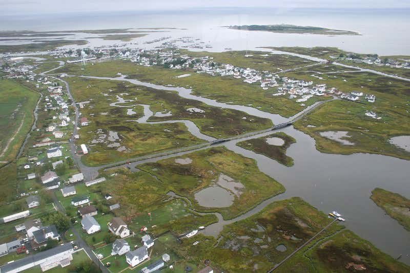 New Scientist. Science news and long reads from expert journalists, covering developments in science, technology, health and the environment on the website and the magazine.