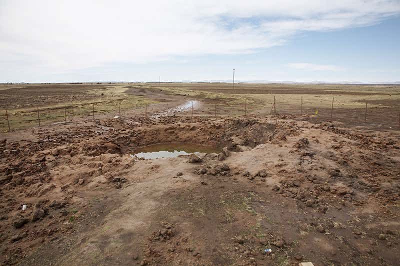 New Scientist. Science news and long reads from expert journalists, covering developments in science, technology, health and the environment on the website and the magazine.