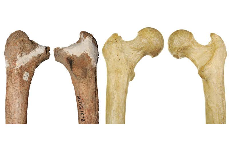 New Scientist. Science news and long reads from expert journalists, covering developments in science, technology, health and the environment on the website and the magazine.