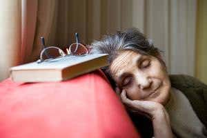 Sleep isn't needed to create long-term memories – just time out