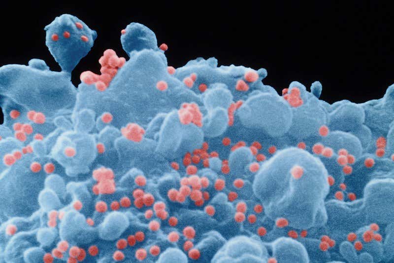 Is a new dawn of widespread gene therapy on the horizon?