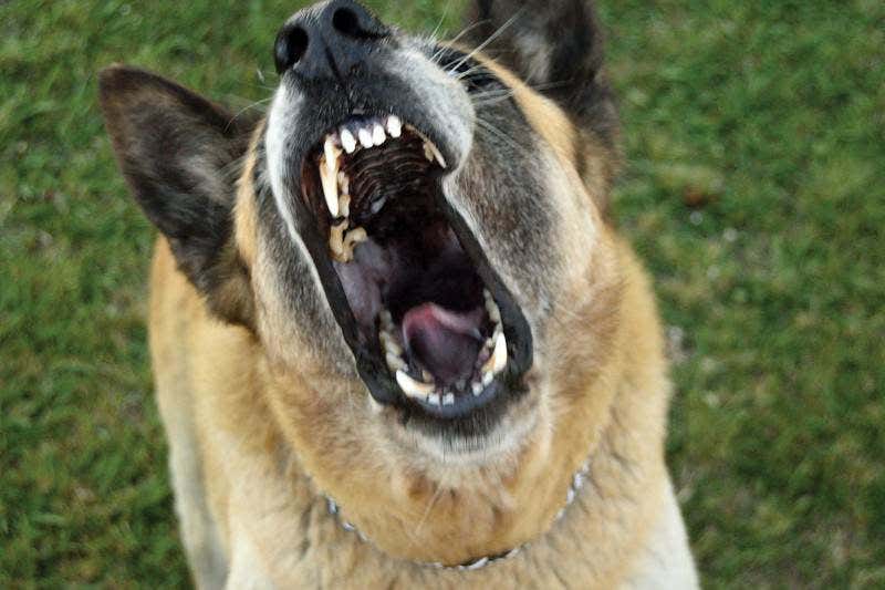 Should we be worried that genes can be edited so easily?