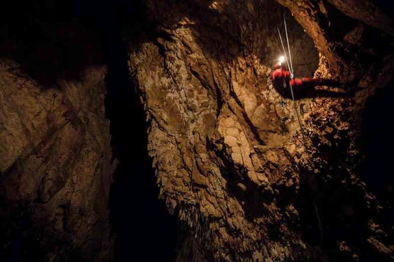 New Scientist. Science news and long reads from expert journalists, covering developments in science, technology, health and the environment on the website and the magazine.