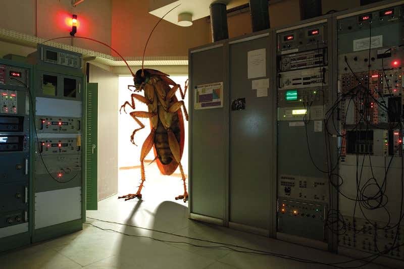 Want a computer that never crashes? Don't let bugs freak it out