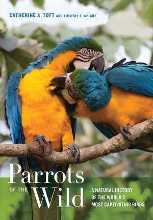 Exploring the world of parrots that dazzle and delight
