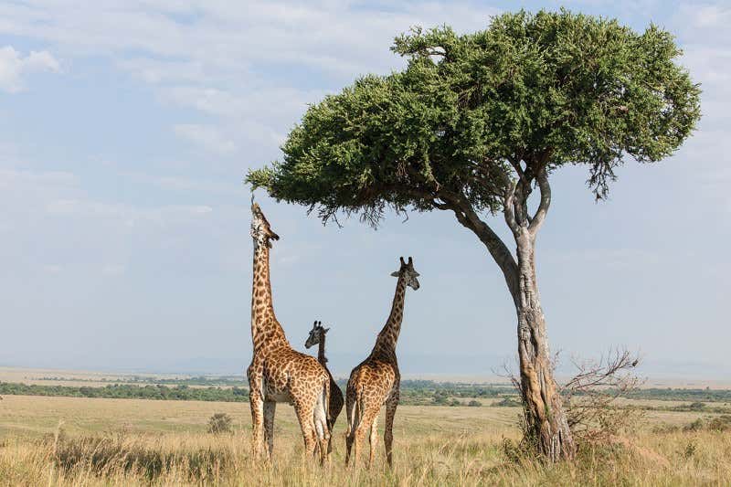 How to change your genes by changing your lifestyle