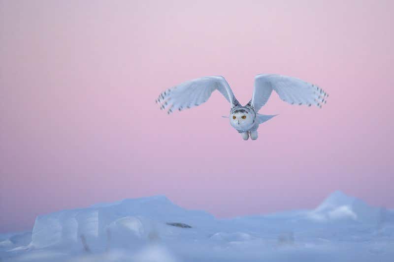 New Scientist. Science news and long reads from expert journalists, covering developments in science, technology, health and the environment on the website and the magazine.