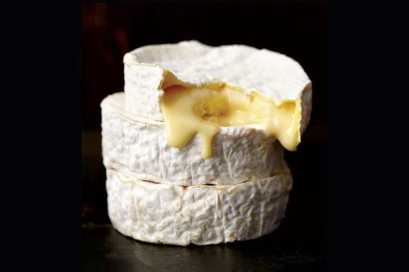 New Scientist. Science news and long reads from expert journalists, covering developments in science, technology, health and the environment on the website and the magazine.