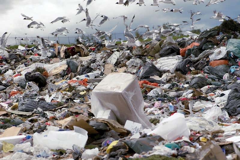 New Scientist. Science news and long reads from expert journalists, covering developments in science, technology, health and the environment on the website and the magazine.