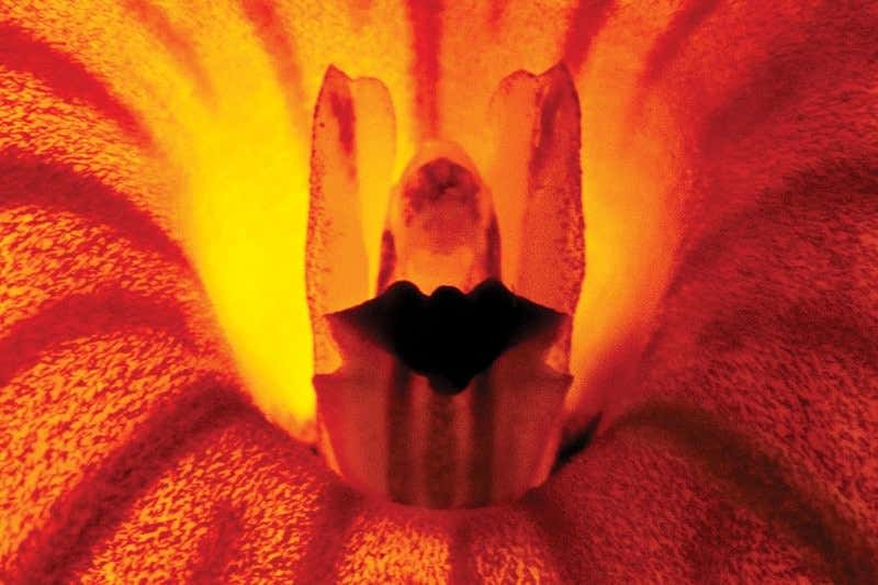 New Scientist. Science news and long reads from expert journalists, covering developments in science, technology, health and the environment on the website and the magazine.