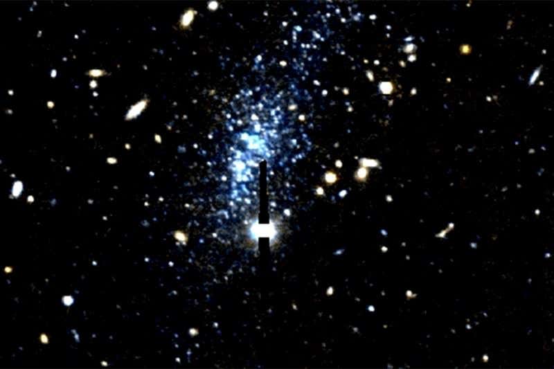 New Scientist. Science news and long reads from expert journalists, covering developments in science, technology, health and the environment on the website and the magazine.