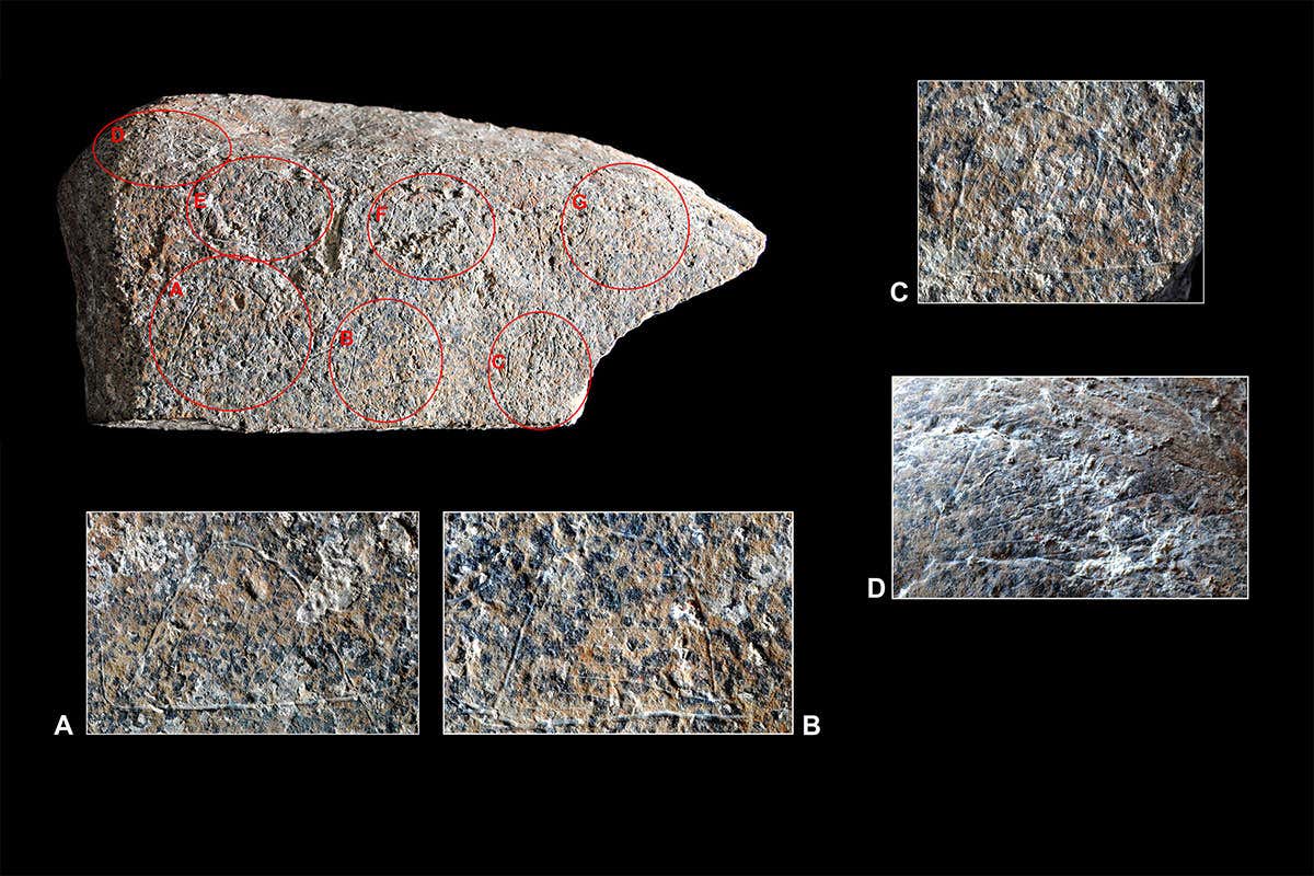 New Scientist. Science news and long reads from expert journalists, covering developments in science, technology, health and the environment on the website and the magazine.