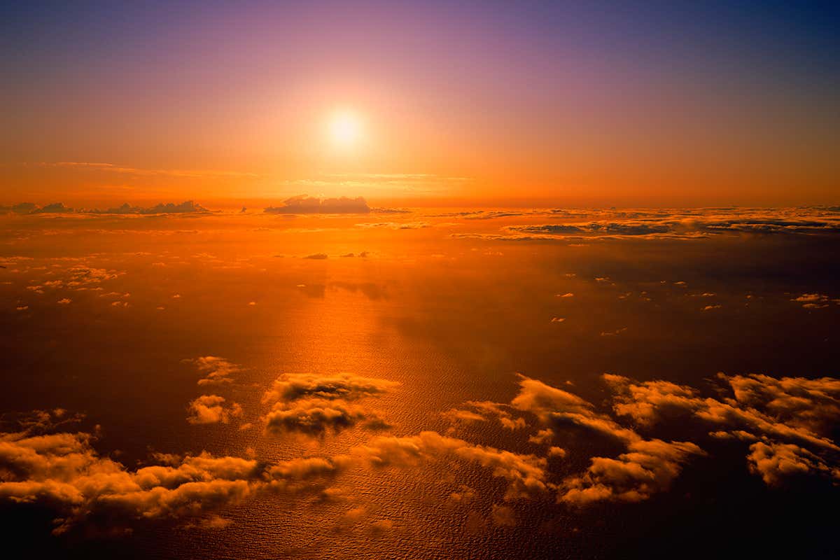 New Scientist. Science news and long reads from expert journalists, covering developments in science, technology, health and the environment on the website and the magazine.