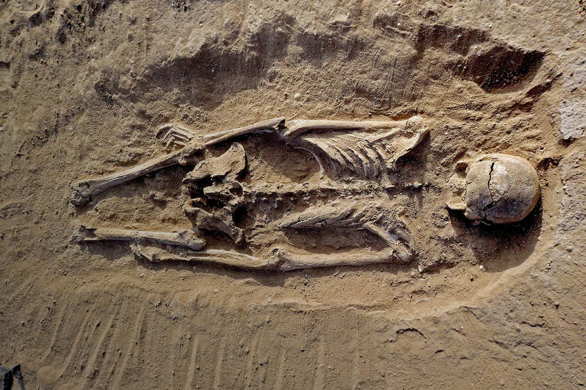 New Scientist. Science news and long reads from expert journalists, covering developments in science, technology, health and the environment on the website and the magazine.