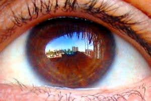 Memory recall works twice as fast as the blink of an eye