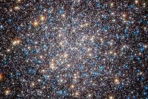Star clusters could host long-lived technological civilisations