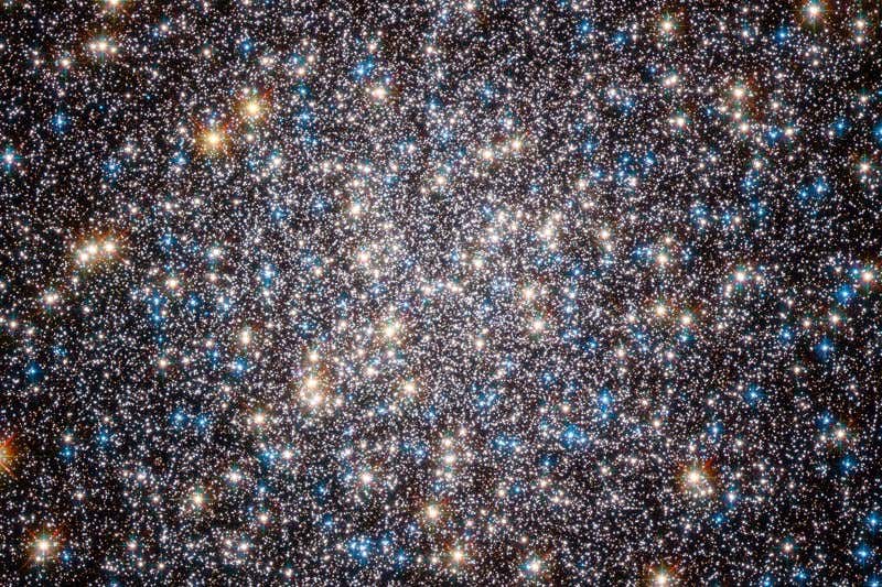 New Scientist. Science news and long reads from expert journalists, covering developments in science, technology, health and the environment on the website and the magazine.