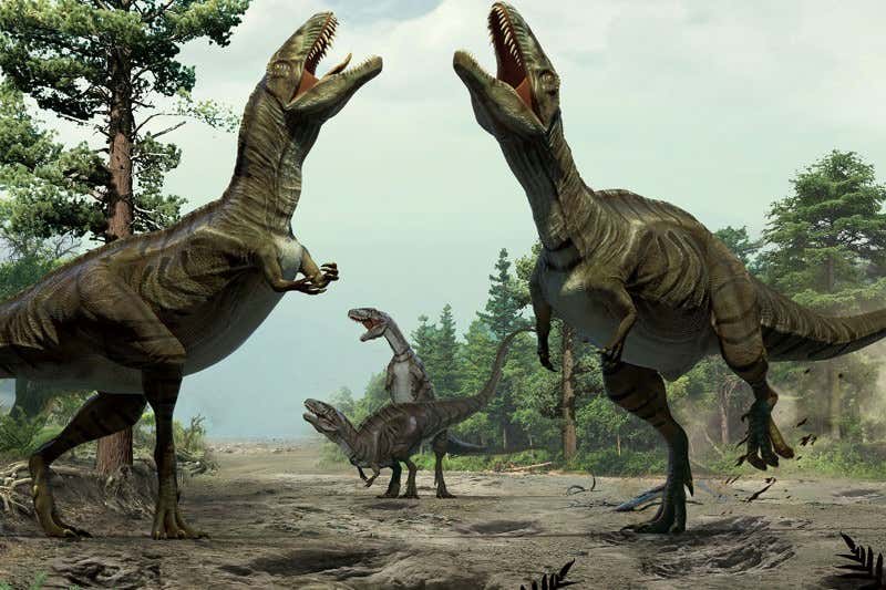 New Scientist. Science news and long reads from expert journalists, covering developments in science, technology, health and the environment on the website and the magazine.