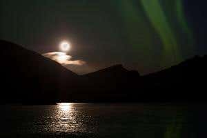 Moonlight helps plankton escape predators during Arctic winters