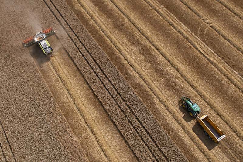 New Scientist. Science news and long reads from expert journalists, covering developments in science, technology, health and the environment on the website and the magazine.