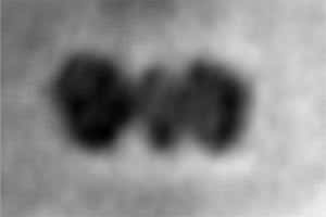 First ever pictures of single proteins thanks to graphene sheet