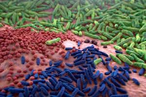 Your gut's trick for controlling the bacteria that live in it