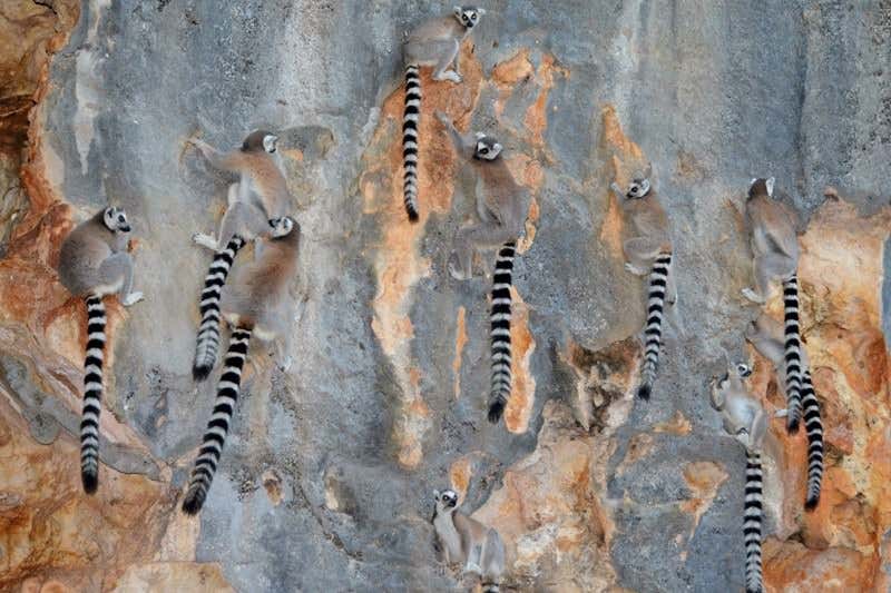 New Scientist. Science news and long reads from expert journalists, covering developments in science, technology, health and the environment on the website and the magazine.