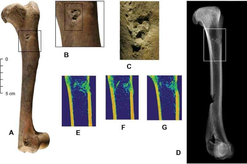 New Scientist. Science news and long reads from expert journalists, covering developments in science, technology, health and the environment on the website and the magazine.