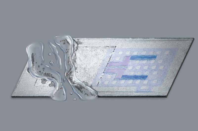 New Scientist. Science news and long reads from expert journalists, covering developments in science, technology, health and the environment on the website and the magazine.