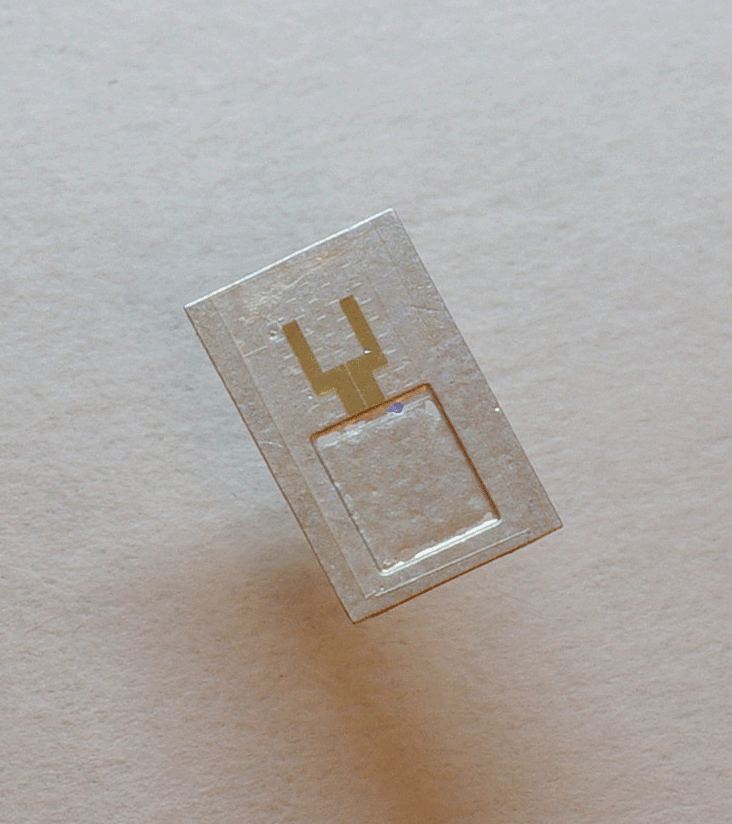 New Scientist. Science news and long reads from expert journalists, covering developments in science, technology, health and the environment on the website and the magazine.