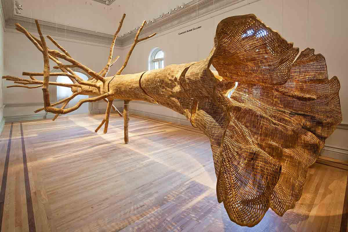 New Scientist. Science news and long reads from expert journalists, covering developments in science, technology, health and the environment on the website and the magazine.