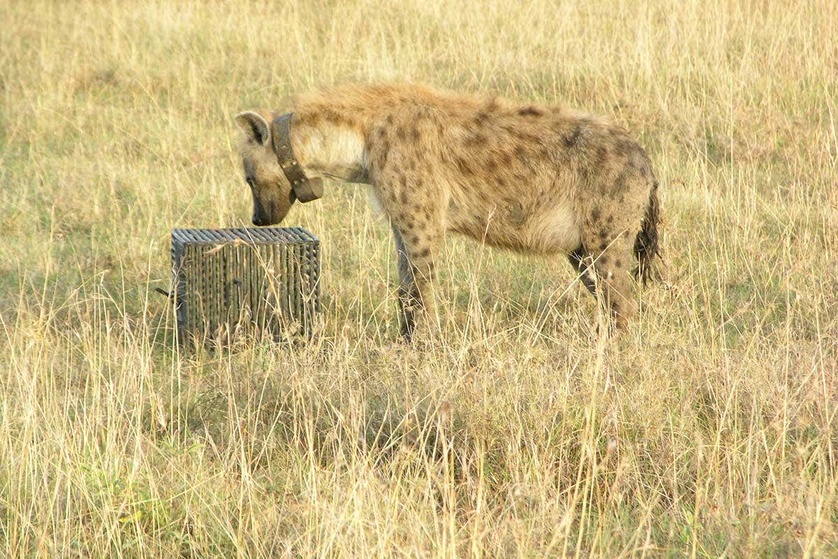 New Scientist. Science news and long reads from expert journalists, covering developments in science, technology, health and the environment on the website and the magazine.