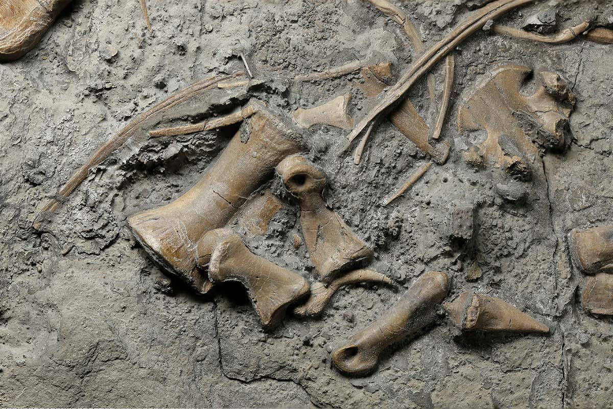 New Scientist. Science news and long reads from expert journalists, covering developments in science, technology, health and the environment on the website and the magazine.