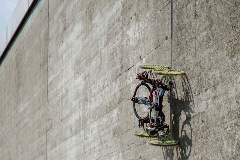 New Scientist. Science news and long reads from expert journalists, covering developments in science, technology, health and the environment on the website and the magazine.