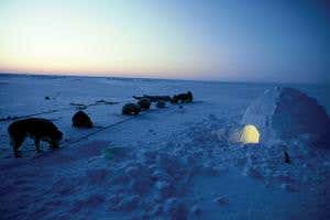 <em>Home</em>: It's where the heart is – and now we know why