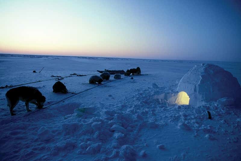 New Scientist. Science news and long reads from expert journalists, covering developments in science, technology, health and the environment on the website and the magazine.