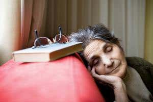 Sleep isn't needed to create long-term memories – just time out