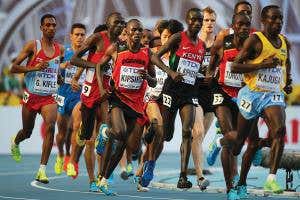 <em>The Society of Genes</em>: Time for a subtler picture of evolution