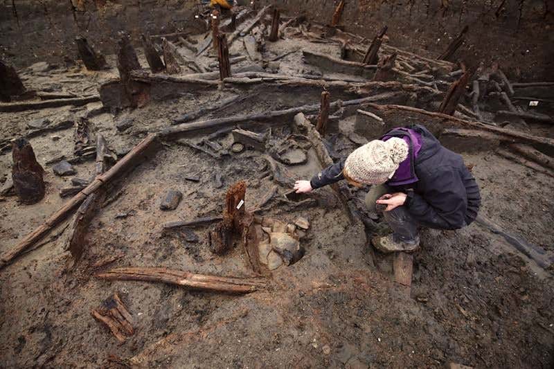 New Scientist. Science news and long reads from expert journalists, covering developments in science, technology, health and the environment on the website and the magazine.