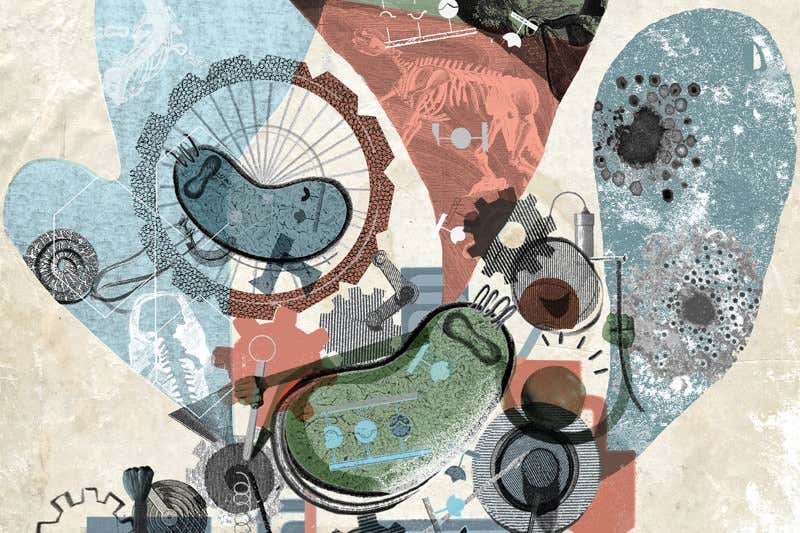 New Scientist. Science news and long reads from expert journalists, covering developments in science, technology, health and the environment on the website and the magazine.