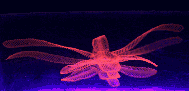 New Scientist. Science news and long reads from expert journalists, covering developments in science, technology, health and the environment on the website and the magazine.