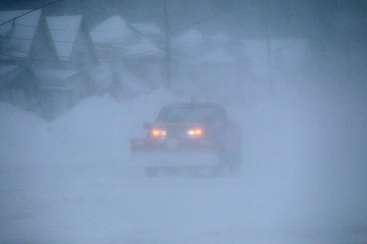 New Scientist. Science news and long reads from expert journalists, covering developments in science, technology, health and the environment on the website and the magazine.