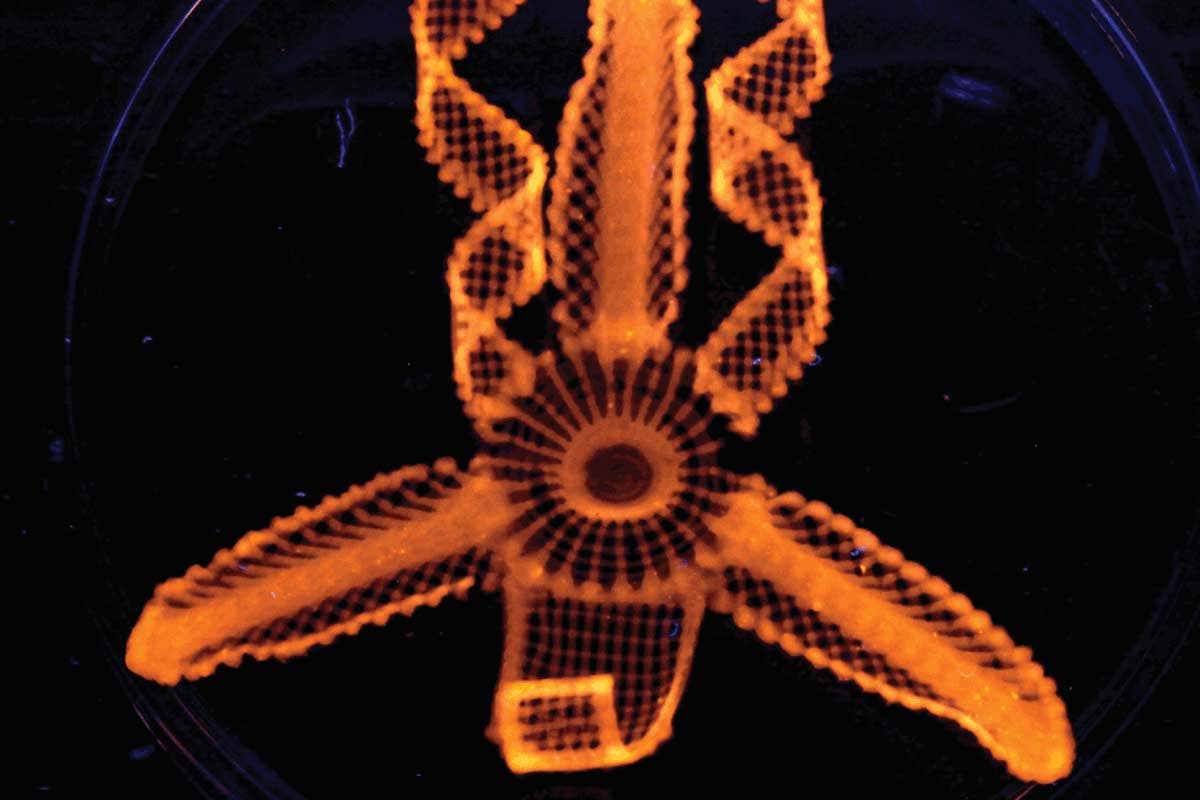 New Scientist. Science news and long reads from expert journalists, covering developments in science, technology, health and the environment on the website and the magazine.