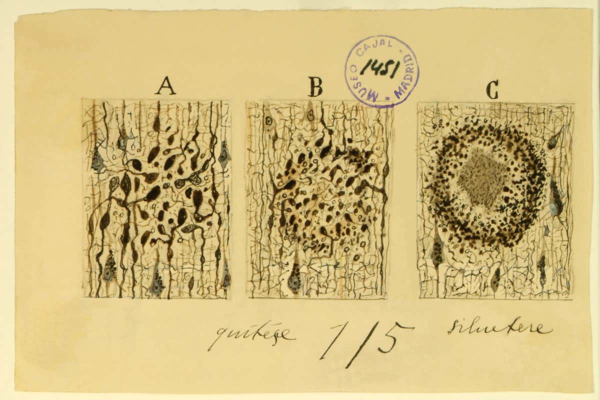 New Scientist. Science news and long reads from expert journalists, covering developments in science, technology, health and the environment on the website and the magazine.